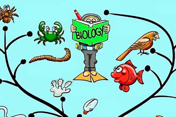 Курсы ЕГЭ по биологии